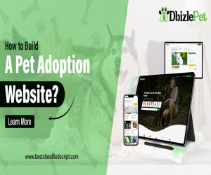 How to Build a Pet Adoption Website? 