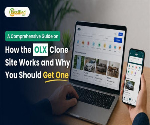 A Comprehensive Guide on How the OLX Clone Site Works and Why You Should Get One