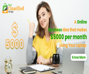 An Online Business Idea that makes 5000 Dollar per month using Your Laptop