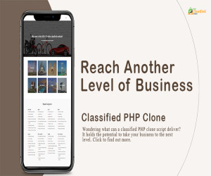 Reach another Level of Business with a classified PHP clone