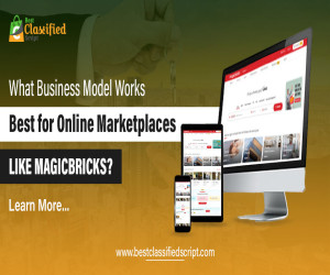 What Business Model Works Best for Online Marketplaces Like Magicbricks