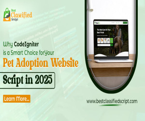 Why CodeIgniter is a Smart Choice for Your Pet Adoption Website Script in 2025