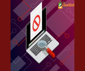 Avoid Scams on Classified Platforms Using a Quality Classified Script