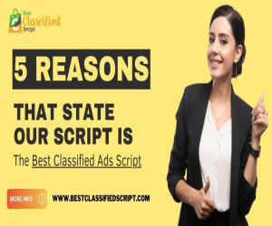 5 Reasons That State Our Script Is The Best Classified Ads Script