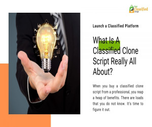 What Is A Classified Clone Script Really All About?