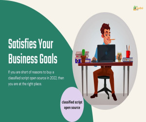 How Does Our Classified Script Open Source Satisfies Your Business Goals?