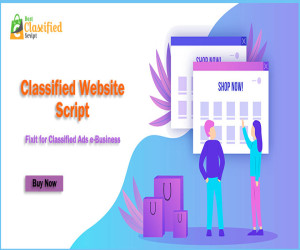 Classified Website Script - Mr. Fixit for Classified Ads e-Business
