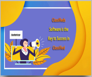 Classifieds Software is the Key to Success in Classified e-Business