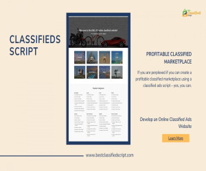 How to Develop an Online Classified Ads Website with a PHP Classifieds Script?