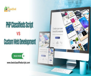 Difference between PHP Classifieds Script & Custom Web Development