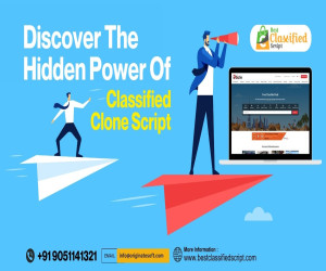 Disclosing the Secret of Classified Clone Script
