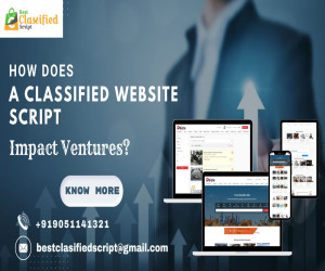 How A Classified Website Script Affect Your Online Business In 2024?