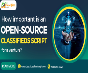 How Important Is An Open-Source Classifieds Script For A Venture?