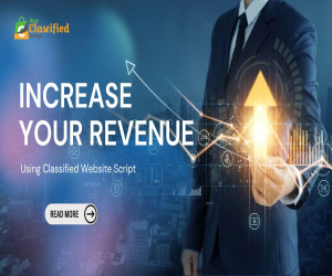 How to Increase Revenue Using Classified Website Scripts