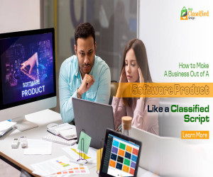 How to Make a Business Out of a Software Product Like a Classified Script