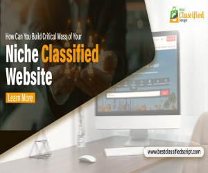 How Can You Build the Critical Mass of Your Niche Classified Website?  