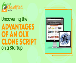 Uncovering the Advantages of an OLX Clone Script on a Startup