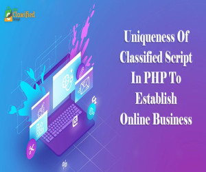 Think Big; Invest Small with the Use of Classified Clone Script