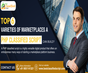 Top 6 Varieties Of Marketplaces A PHP Classified Script Can Build?