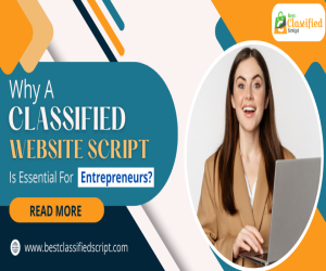Why A Classified Website Script Is Essential For Entrepreneurs?