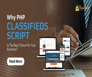 PHP Classifieds Script-The Best Choice For Your Business?