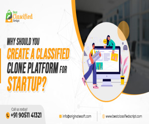 Why Should You Create A Classified Clone Platform For Startup?