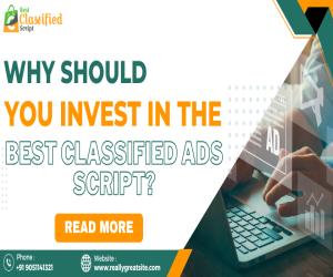 Why Should You Invest In The Best Classified Ads Script?